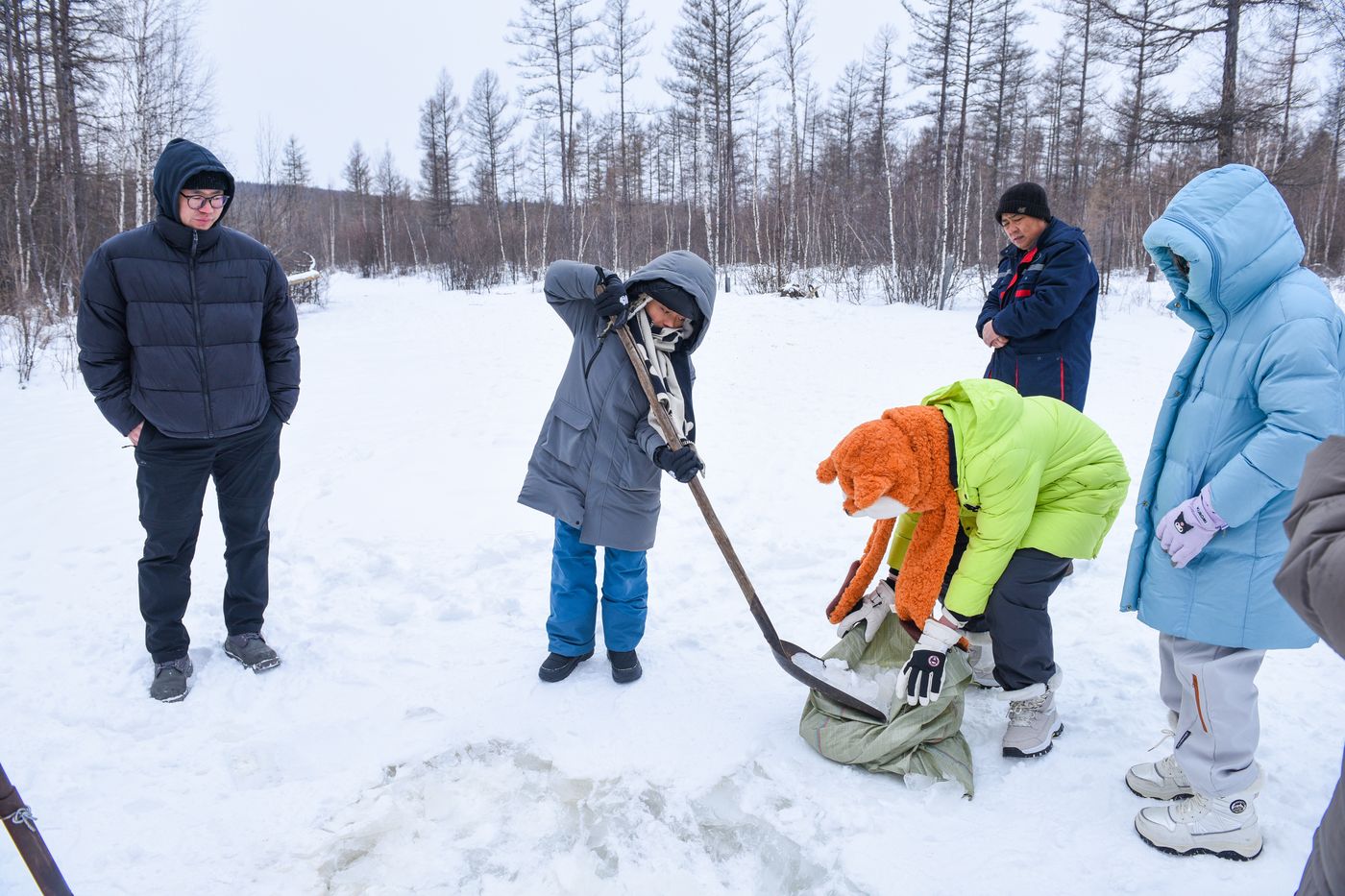 雪林里孩子们在雪地上活动